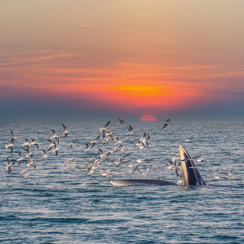 私家团崇左+北海+涠洲岛7天【明仕雅居+明仕田园竹筏漂流】