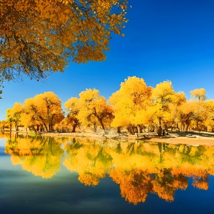 私家团·额济纳胡杨林河西走廊8日【五星张掖宾馆+穿越外星谷】