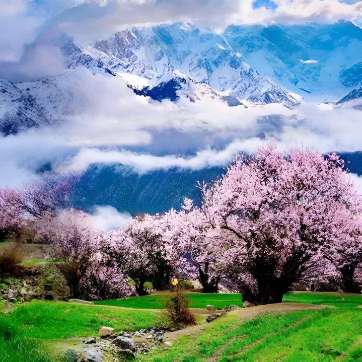 私家团拉萨羊湖林芝桃花6天【天后同款瑞吉+解锁N次观日照金山】