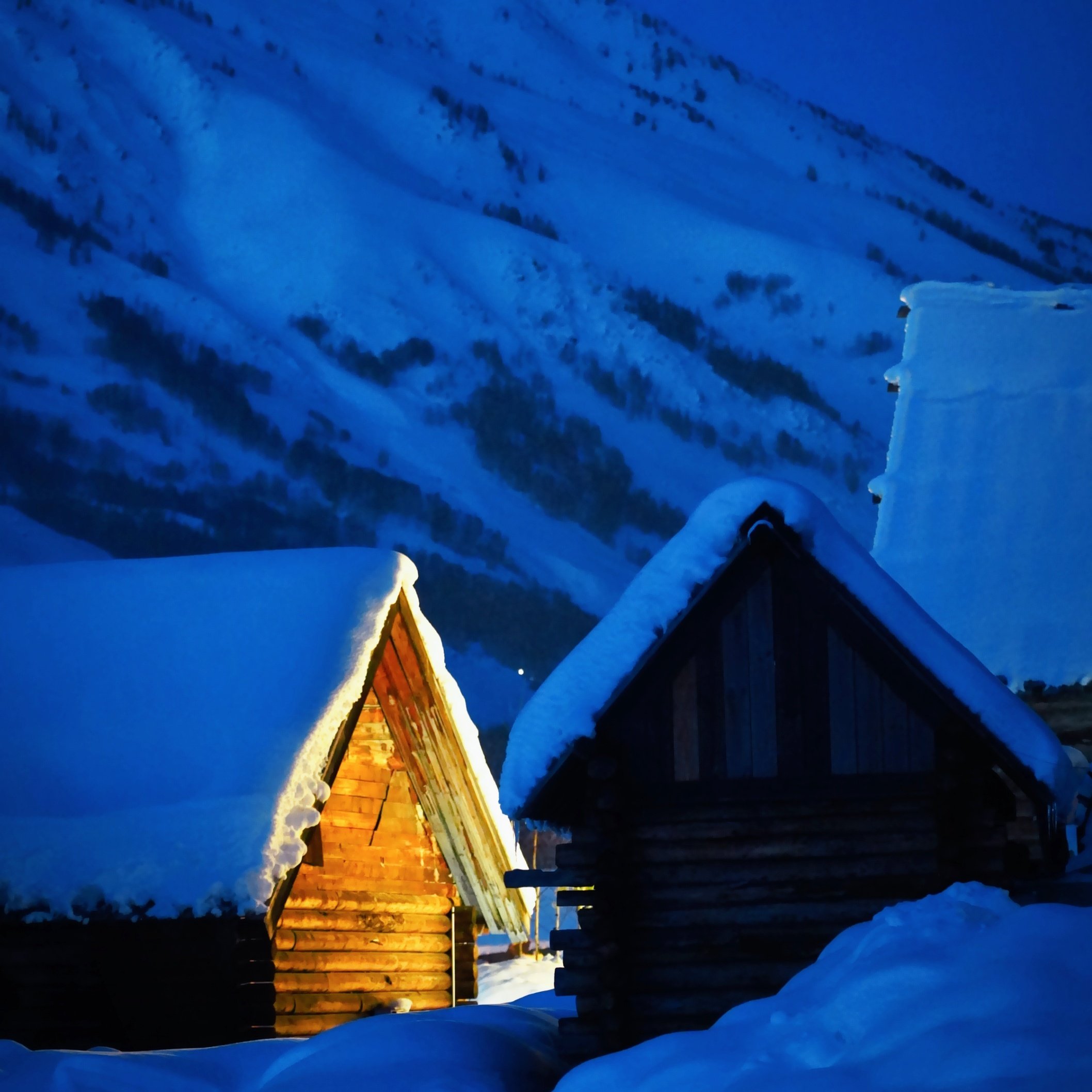 私家团新疆阿勒泰滑雪6天【住喀纳斯禾木景区内+1晚白哈巴】