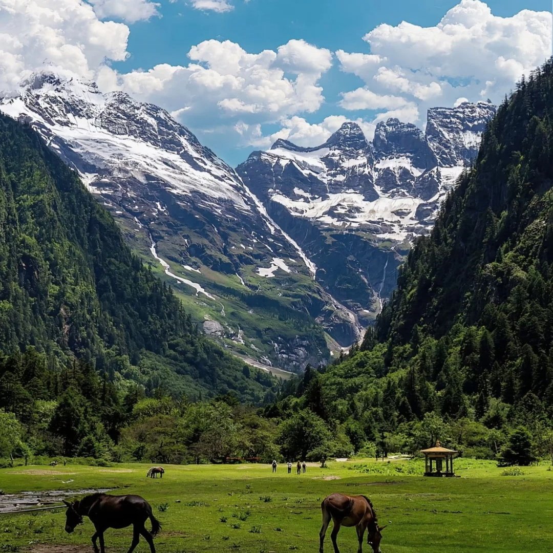1人成团·香格里拉5天【持证向导1v1登顶哈巴5396+雨崩+虎跳峡】