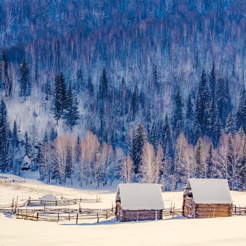 私家团·新疆喀纳斯禾木7天【吉克普林高山滑雪+星空雪山小木屋】