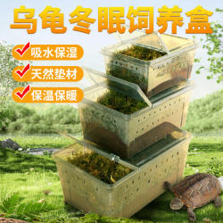 Reptile pet breeding box reptile hatching box