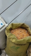 Máy đo độ ẩm lúa mì, ngô, máy đo độ ẩm ngũ cốc, máy đo độ ẩm, máy đo độ ẩm gạo và hạt bông
