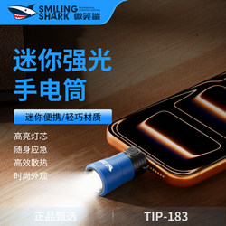 Type-C Powered Mini Flashlight Portable USB Mobile Phone External Light Portable Emergency Lighting Keychain-Free Led