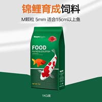 Koi Fish Food Goldfish Special Feed Наблюдая за маленькой рыбой домашней рыбой и пищи. Небольшие частицы плавают без грязного воробья.