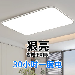 Led Living Room Ceiling Light Fixture, Main Bedroom Dining Room Pendant Light, Modern Simple and Elegant Zhongshan Lighting