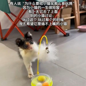 
Cat Tumbler Feather Interactive Toy Kitten Funny Stick Self-Happiness Relief Mint Ball Bell Cat Toy