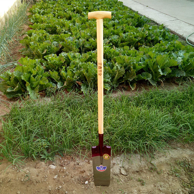 Vanga Da Scavo In Acciaio Al Carbonio Con Lama Resistente – Ideale Per Giardinaggio, Drenaggi E Trincee