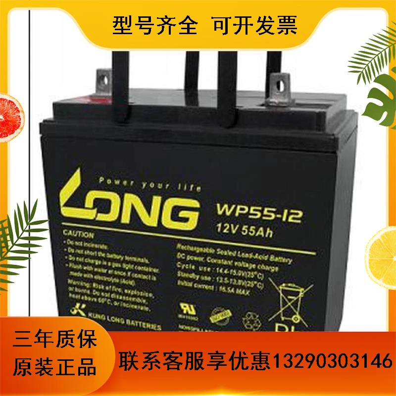 Batterie Long WP55-12