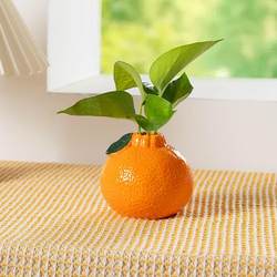 Orange Ceramic Small Vase Decoration for Living Room, Flower Arrangement, Hydroponic Plants, Fresh Flowers, Pothos, Mood Stabilizing Desktop Decoration