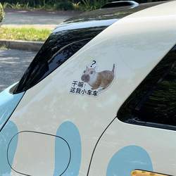 Cat Meme Car Sticker, What's This? It's My Little Car, Cat Emoji Sticker, Funny Car Sticker, Scratch Cover