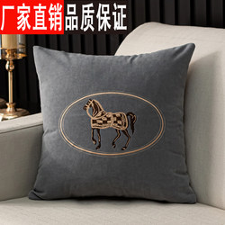 Chenille Embroidered Square Throw Pillow for Living Room, Redwood Sofa, Embroidered Cushion, 55cm Large Size with Insert, Lumbar Support Pillow