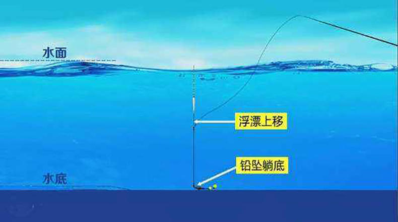 春季野钓鲫鱼技巧大全,让你上鱼上到手抽筋!