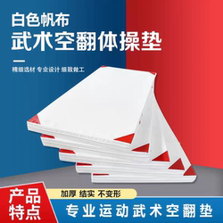 Canvas Gymnastics Mat, Martial Arts Mat, Acrobatic Mat, Fighting Training Mat, White Gymnastics Mat, Sanda Martial Arts Mat