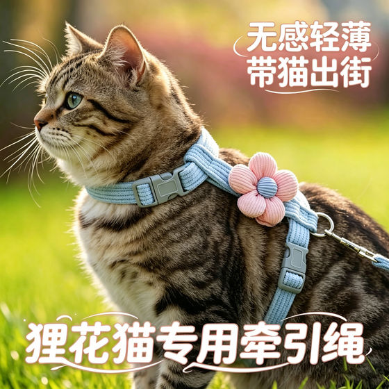 
Special kitten traction rope for civet cats, cat pet and kitten anti-breakaway harness, cat rope, I-shaped