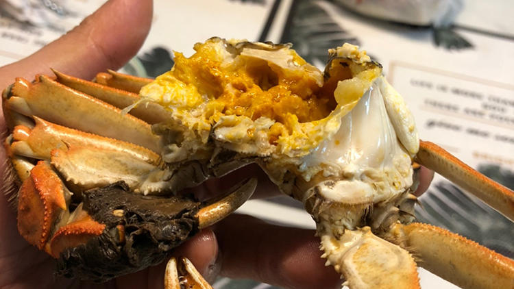 买大闸蟹记住这些,不会挑错不会买错(图4) 买大闸蟹记住这些,不会挑错不会买错(图4)