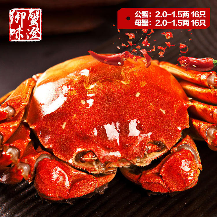 评测|六月黄大闸蟹，至臻美味回味无穷(图2)