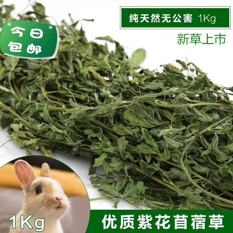 紫花苜蓿草兔子主粮幼兔草干草荷兰猪龙猫牧草饲料兔子