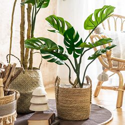Nordic Ins-Style Artificial Green Plant Decoration, Fake Turtle Leaf Bamboo Potted Plant for Living Room Indoor Decoration