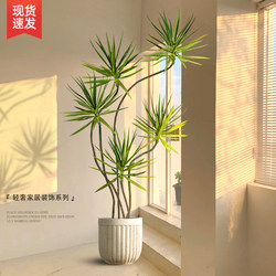 Large Floor-Standing Ornament for Living Room, Light Luxury High-End Home Decor, Artificial Dragon Blood Tree Green Plant, Entryway Decoration Piece