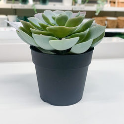IKEA/IKEA simulated potted green plants and floral arrangements