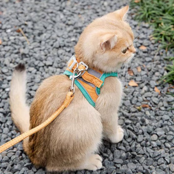 
Cat walking leash special for cats to prevent breaking free from neck and go out of cats to walk out I-shaped Maine cat traction vest