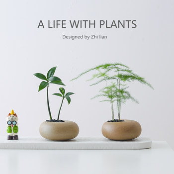 Creative workstation green plant in bamboo pot plant