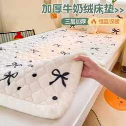 Class a Antibacterial Milk Velvet Mattress Soft Pad Mattress Cover Single Student Dormitory Bed Mattress Pad Home Blanket