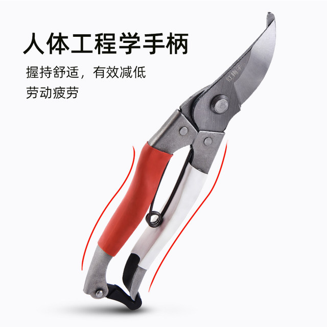 Stainless steel branch pruning shears for picking fruits and flowers ...