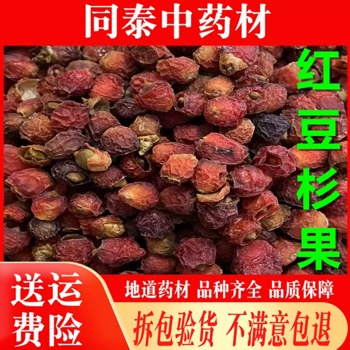 中药材红豆杉果正品500克包邮干货紫杉扁柏红豆树赤柏松-Taobao