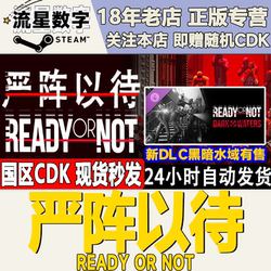 Steam China Region Official Key Ready or Not: Undercurrents Dark Waters