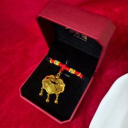 Full Moon Baby Bracelet, Gold-Plated Lock Necklace, Red String Longevity Lock Necklace, Children's First Birthday Photo Prop