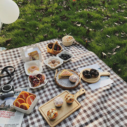 Picnic Mat, Moisture-Proof Mat, Camping Picnic Cloth, Outdoor Mat, Beach Mat, Waterproof Music Festival Cushion, Sunbathing Mat