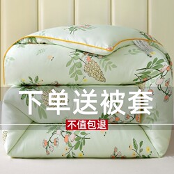 Authentic Silk Quilt 100% Mulberry Silk Spring and Autumn Quilt, Thickened Winter Quilt, 5kg Cotton Warm Quilt, Air Conditioning Quilt Core