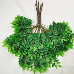 Artificial Locust Leaves, Elm Leaves, Indoor Fake Trees, Jujube Tree Leaves, Plastic Branches, Engineering Landscaping, Green Leaf Plants for Decoration