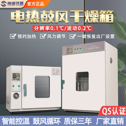 Electric Constant Temperature Blast Drying Oven High Temperature Heating Small Industrial Oven Medical Dryer Laboratory Oven