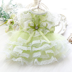 Dog Clothes Spring and Summer Thin Style Cat Princess Dress Mint Mambo Wedding Dress Lace Small Dog Teddy Pet 5823