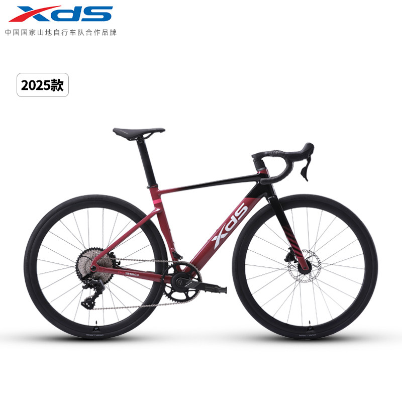Xds Chinese Style Bicycle 20/22 Inch Unisex Kids/Teen Bicycle