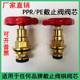 Factory direct sales PPR stop valve pure copper valve core 4 points 25 fine brass PE valve core Jinniu Liansu Rifeng