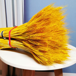 Natural Golden Wheat Ears Dried Flower Bouquet Opening Celebration Barley Living Room Pastoral Decoration Ornaments Dried Flower Arrangement Photography Props