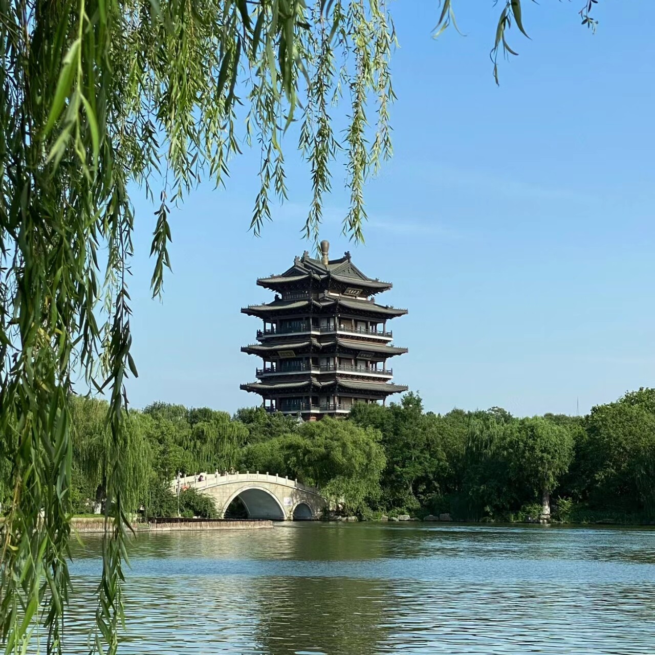 山东全线7日青岛威海烟台蓬莱阁曲阜三孔泰山济南7天6晚纯玩