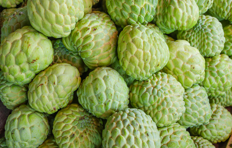 鲜水果又美味,挑出香甜可口释迦果(图16) 鲜水果又美味,挑出香甜可口释迦果(图16)