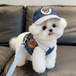 Cute Cartoon-Style Dog Clothes with Adjustable Harness and Leash for Bichon Frise and Teddy Puppies for Outdoor Use