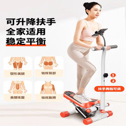 Indoor Sports Multi-Functional Stepper, Home Waist Twisting Small Hydraulic Silent Fitness Equipment with Handrail and Phone Holder