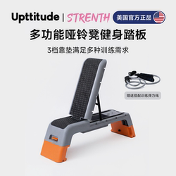 Upttitude Multifunctional Dumbbell Bench, Home Fitness Bench Press Chair, Sit-Up Board, Bird Bench, Belly Slimming Bench