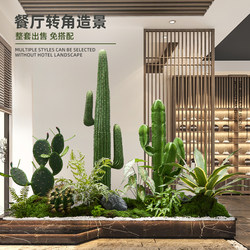 Simulated Cactus Landscaping for Indoor Landscapes, Shopping Mall Store Windows, Large Decorative Scene Arrangements, Artificial Plants and Greenery