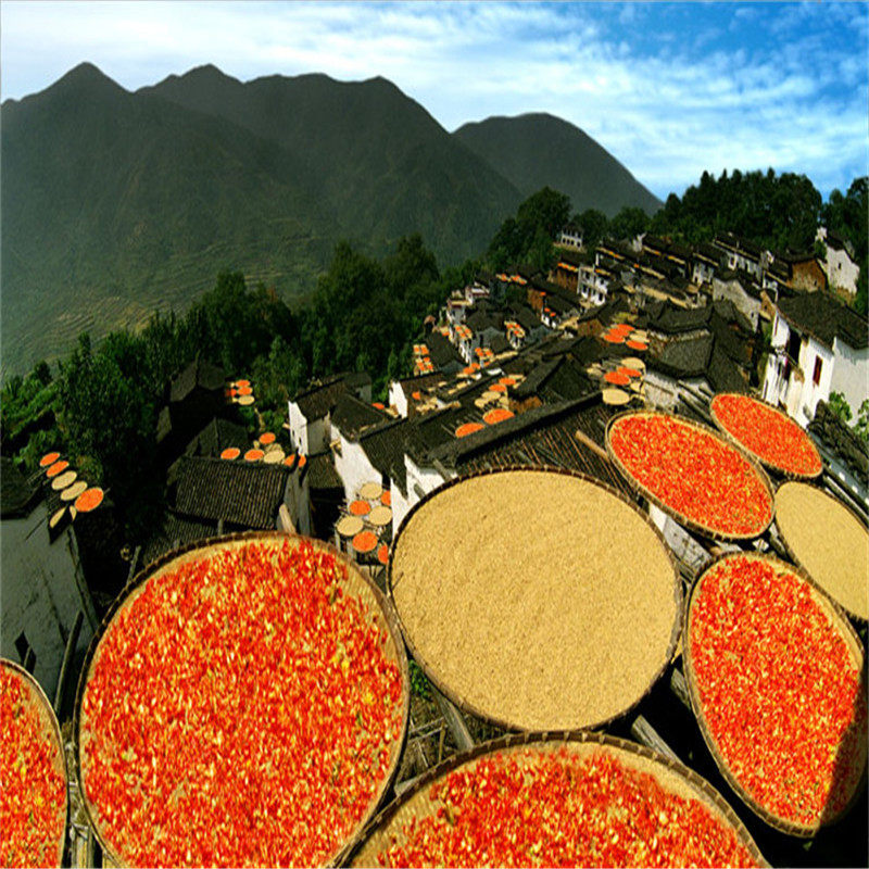 【皖南五星纯玩】徽州古城+婺源篁岭+黎阳水街品质2日游