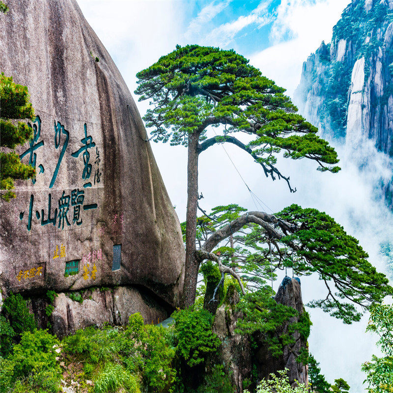 【天天发团 】黄山王牌线路 黄山风景区2日游 住山下