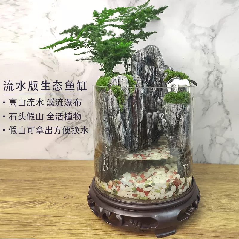 山水盆景六月雪罗汉松文竹盆栽树桩悬崖植物室内吸水假山石小绿植-Taobao